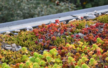 the cost of St Maughans Green green roof installation
