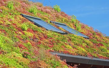 St Maughans Green living roof systems
