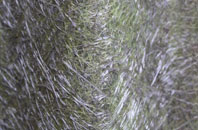 St Maughans Green fibreglass roof work